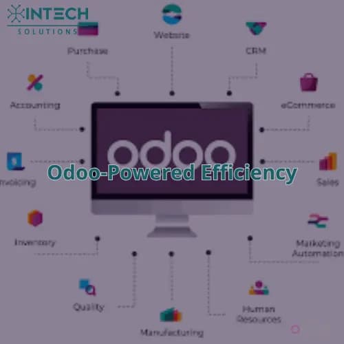 ERP Solutions (Odoo)